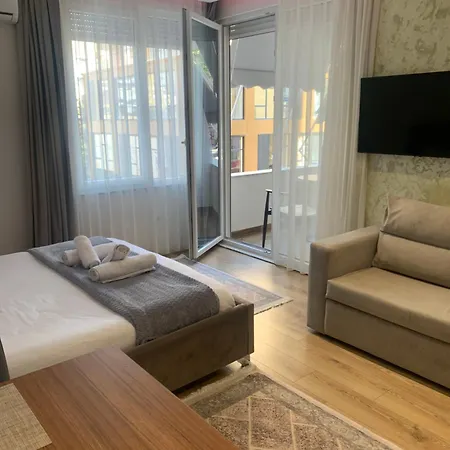 Apartment Luxury Center *