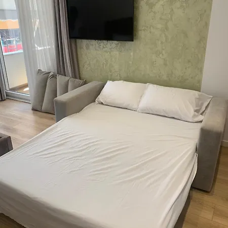 Luxury Center Daire Tiran